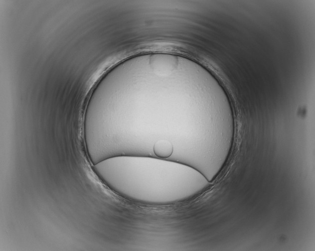 X0000115630994200911101115