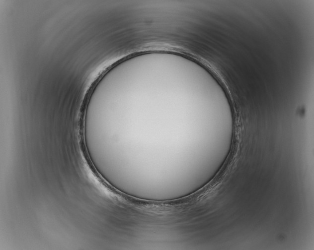 X0000115630995200911101115