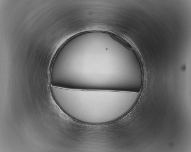 X0000115630996200911101115