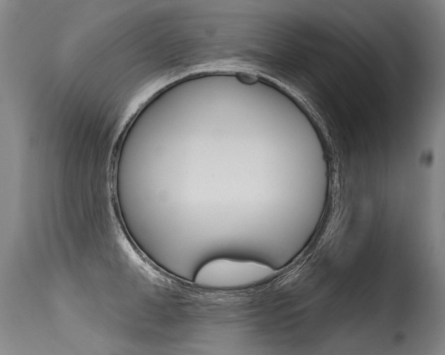X0000115630998200911101115