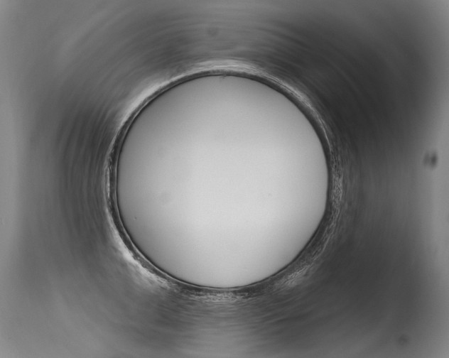 X0000115630999200911101115