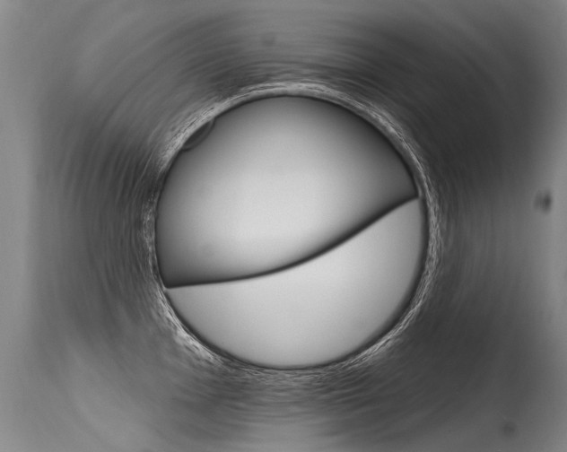 X0000115631001200911101115
