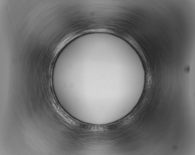 X0000115631002200911101114