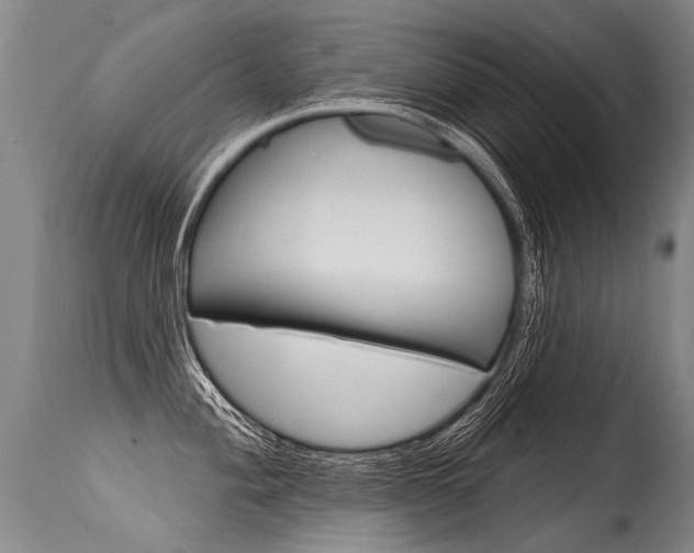 X0000115631004200911101114