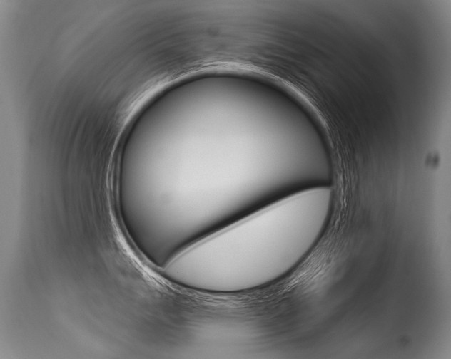 X0000115631007200911101114