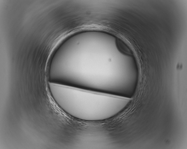 X0000115631008200911101114