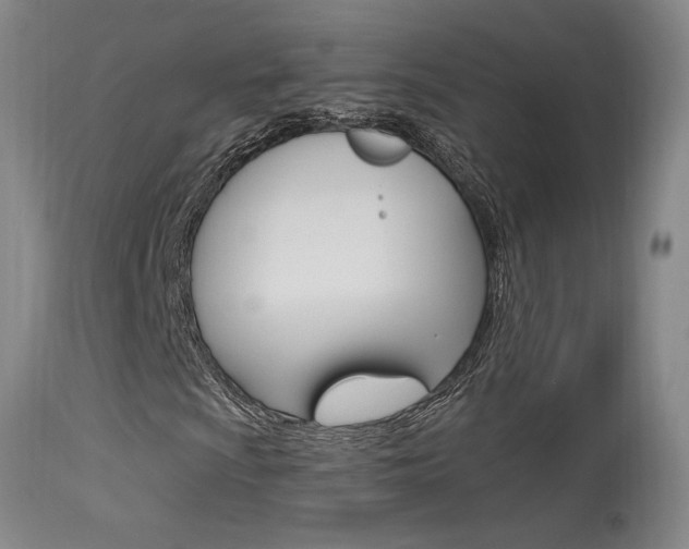 X0000115631009200911101114