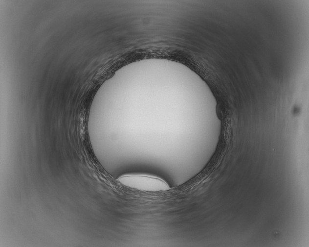 X0000115631010200911101114