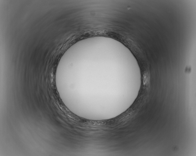 X0000115631011200911101114