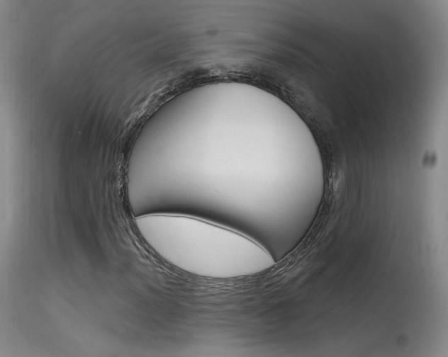 X0000115631012200911101114