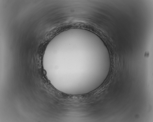 X0000115631013200911101114