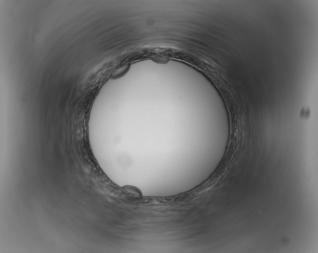 X0000115631014200911101114