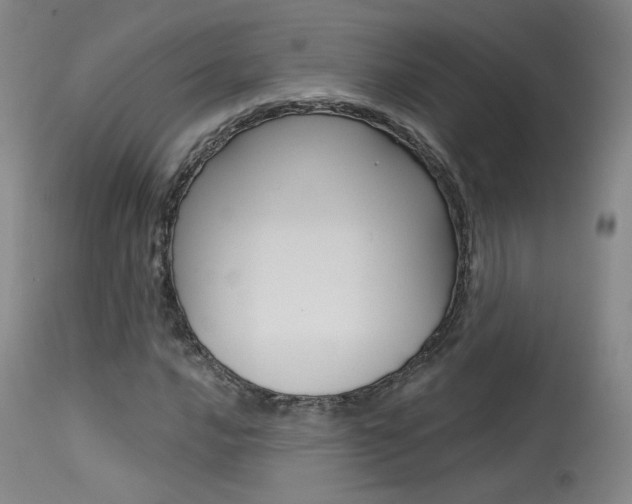 X0000115631016200911101114