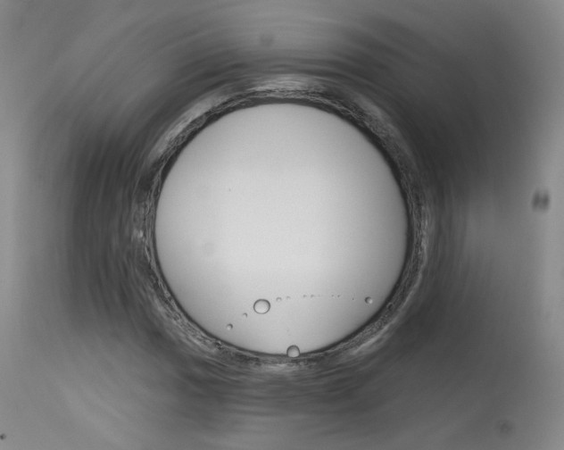 X0000115631017200911101114
