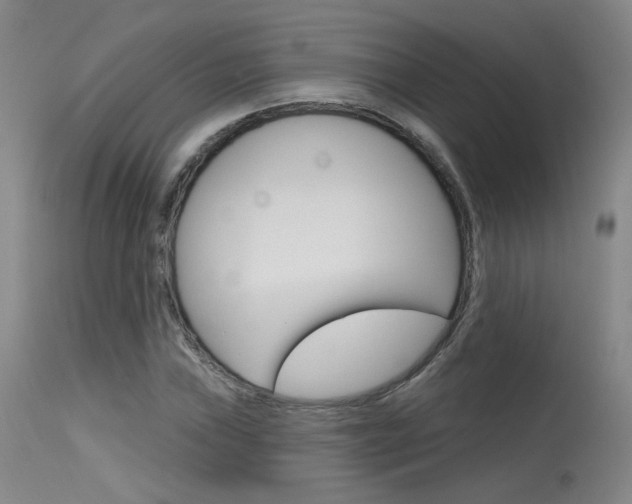 X0000115631019200911101114