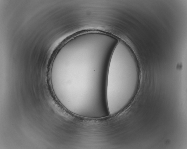 X0000115631020200911101114