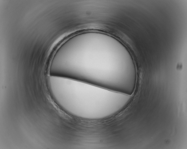 X0000115631024200911101114