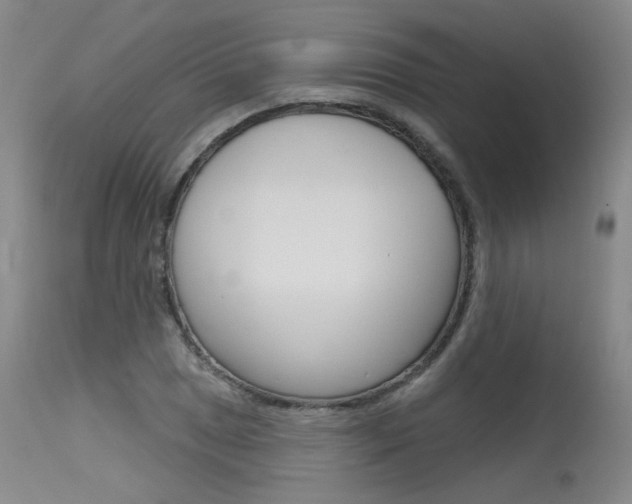 X0000115631025200911101114