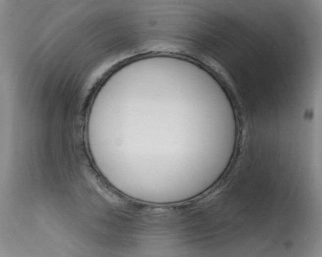 X0000115631027200911101114