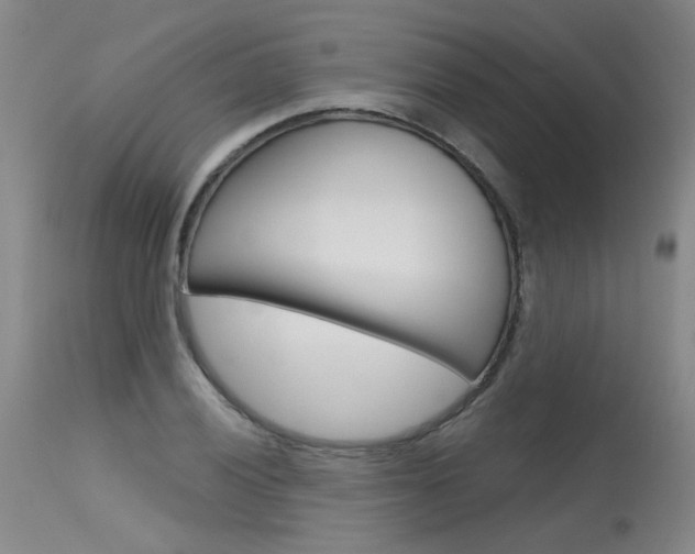 X0000115631028200911101114