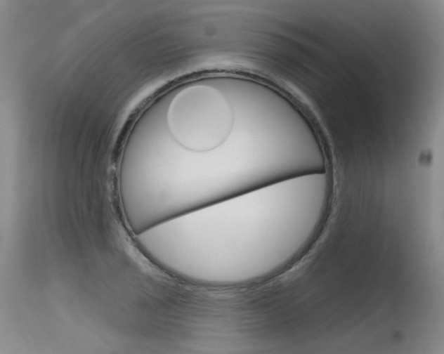 X0000115631029200911101114