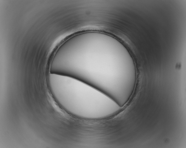 X0000115631030200911101114