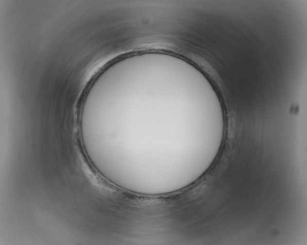 X0000115631031200911101114