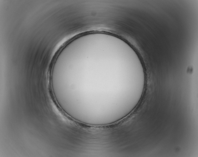 X0000115631032200911101114