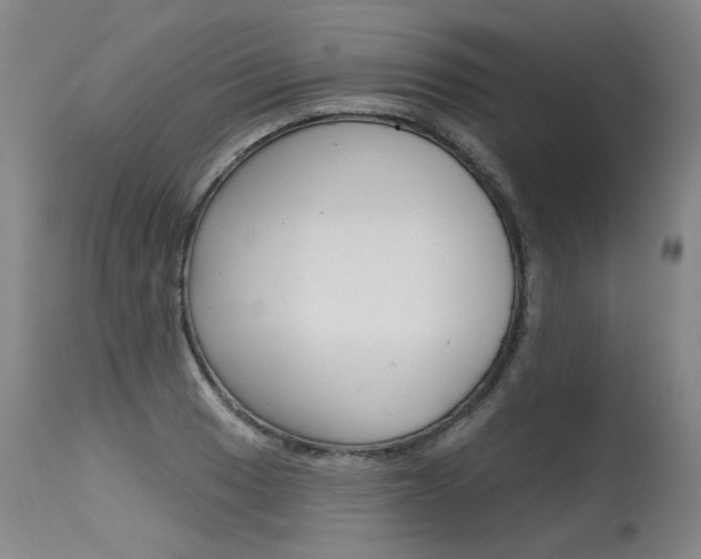 X0000115631033200911101114