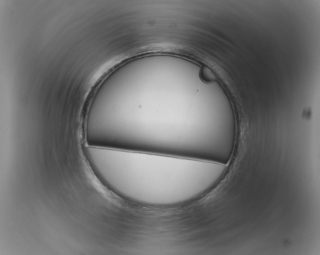 X0000115631034200911101114