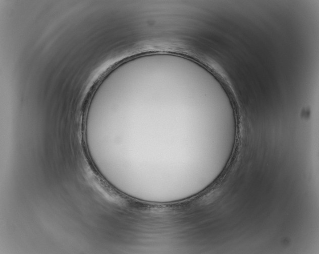 X0000115631035200911101114