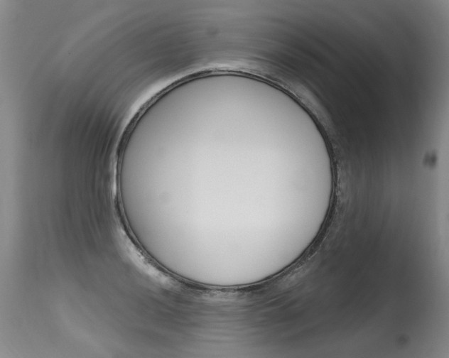 X0000115631036200911101114