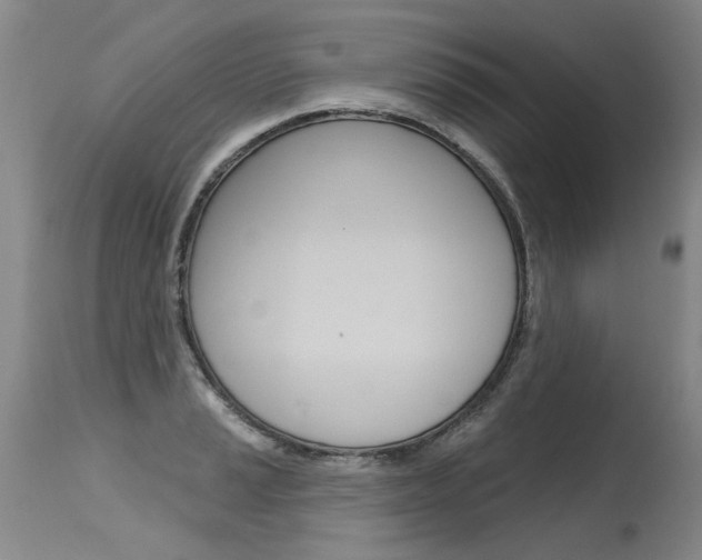 X0000115631037200911101114