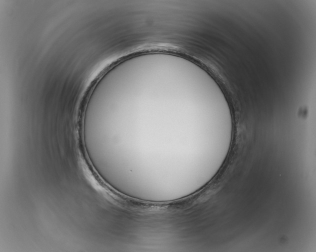 X0000115631038200911101114