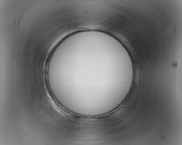 X0000115631039200911101114