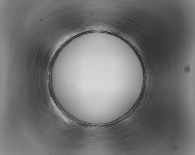 X0000115631040200911101114