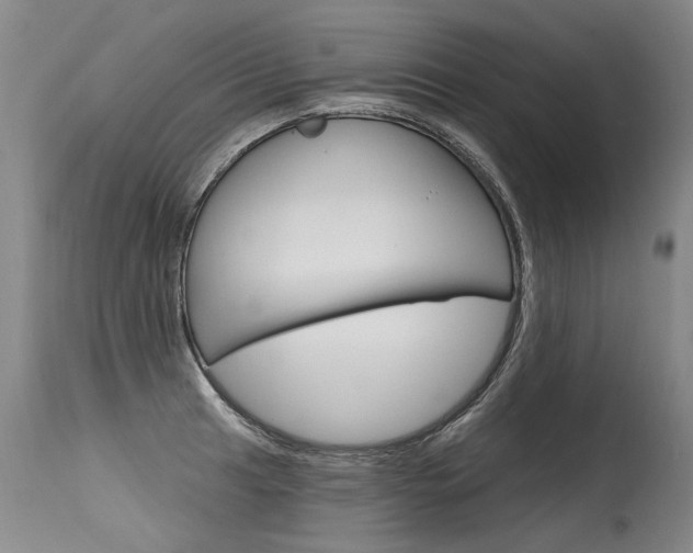 X0000115631041200911101114