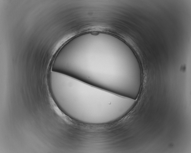 X0000115631042200911101114