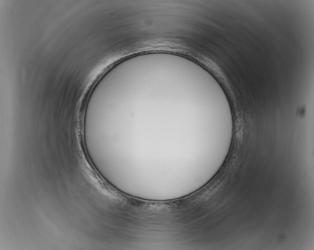 X0000115631043200911101114