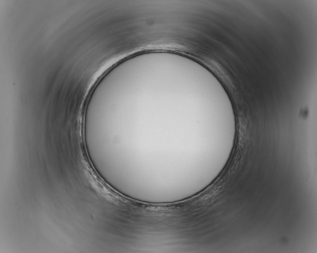 X0000115631044200911101114