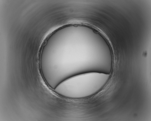X0000115631045200911101114