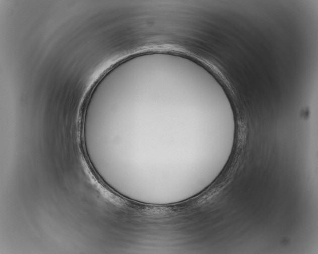 X0000115631046200911101114