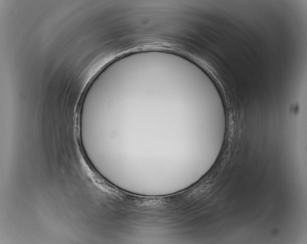 X0000115631047200911101114