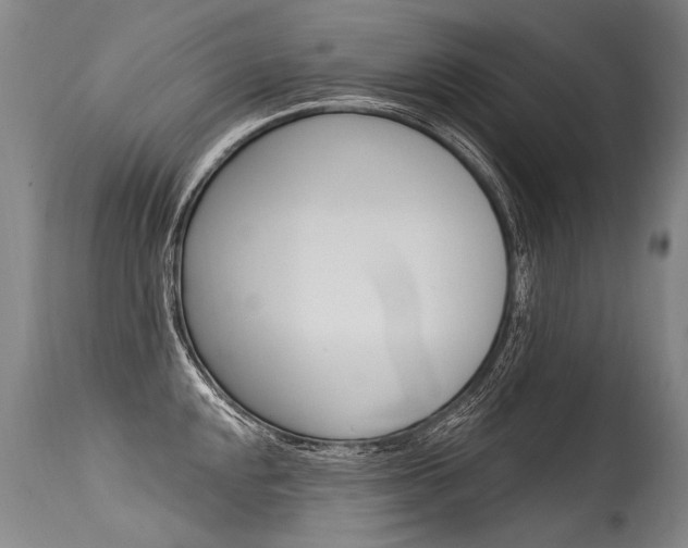 X0000115631048200911101114