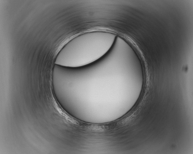 X0000115631049200911101114