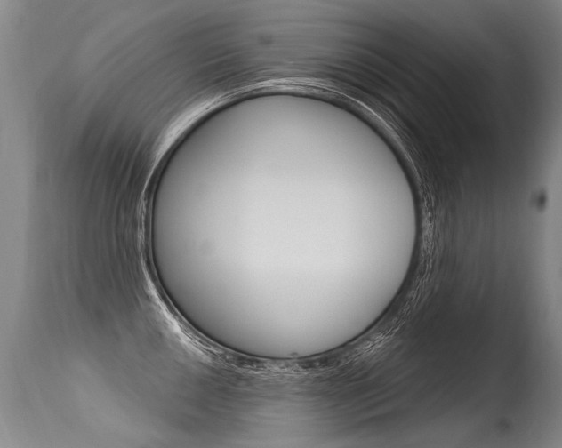 X0000115631050200911101114
