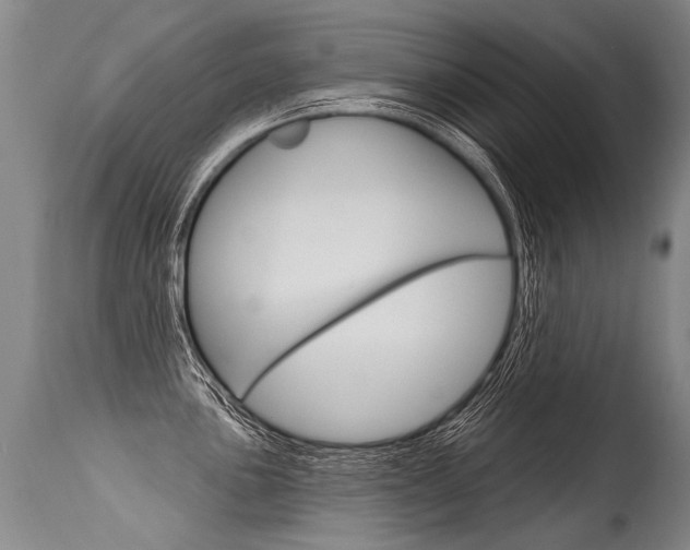 X0000115631051200911101114