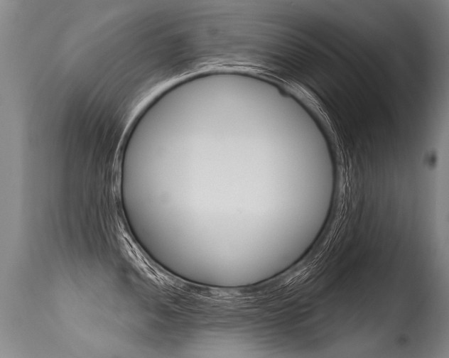 X0000115631052200911101114