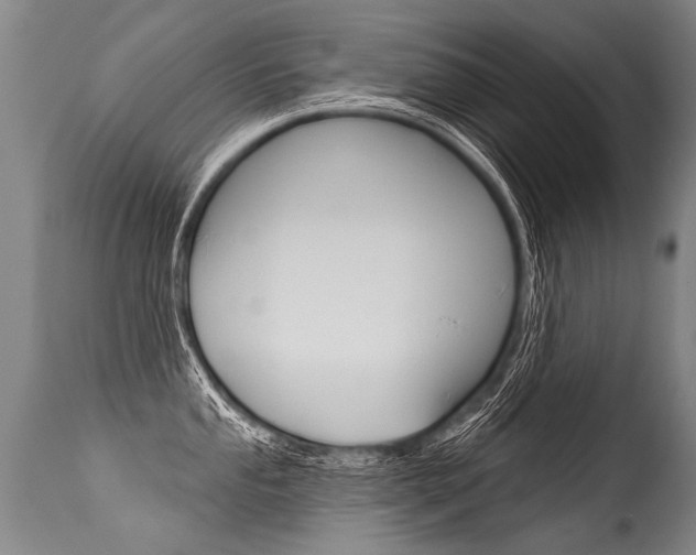 X0000115631053200911101114