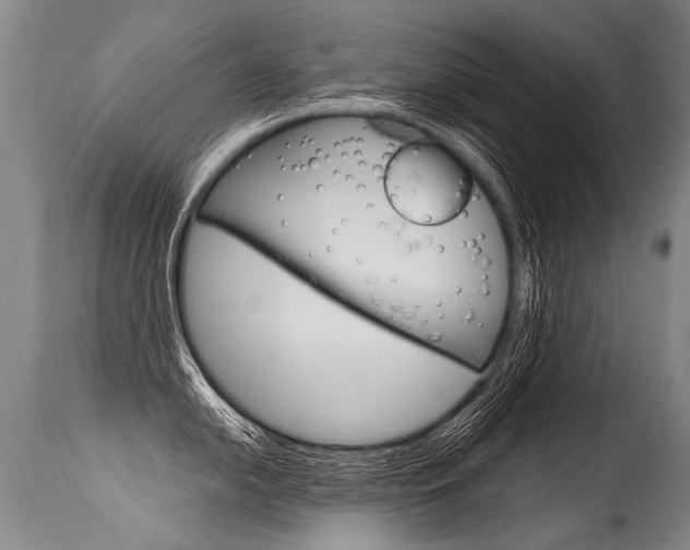 X0000115631054200911101114
